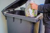 Familienurlaub: Müll in Mülltonne werfen