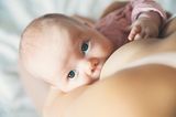 Stillen: Baby liegt an der Brust