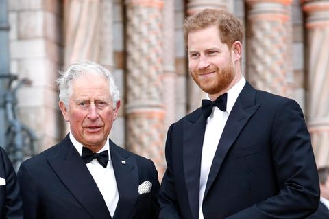 Prinz Charles: "Felsenfeste" Beziehung zu Prinz Harry