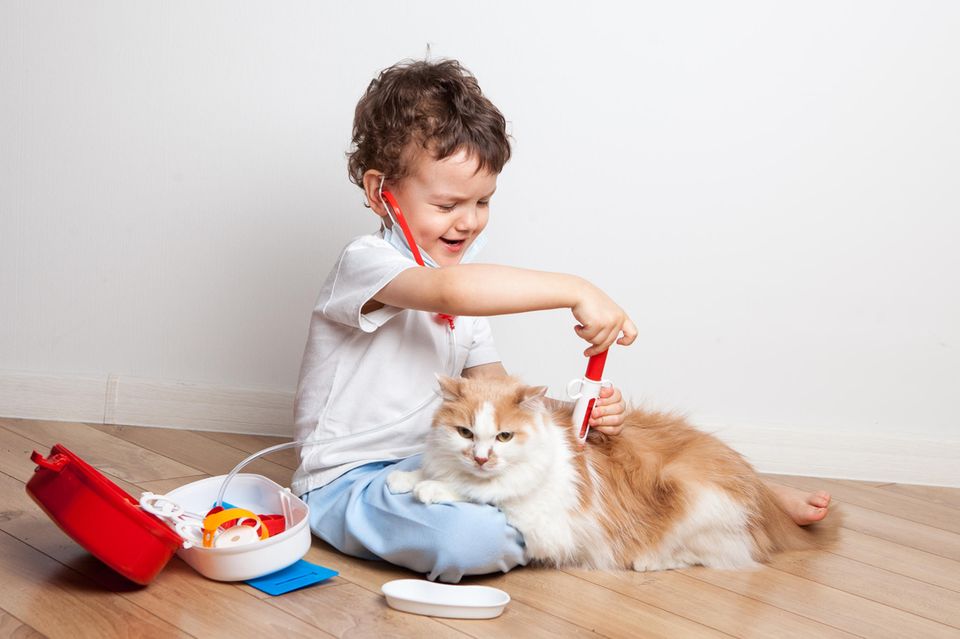 Kindergesundheit: Kind spielt Arzt mit Katze