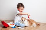 Kindergesundheit: Kind spielt Arzt mit Katze