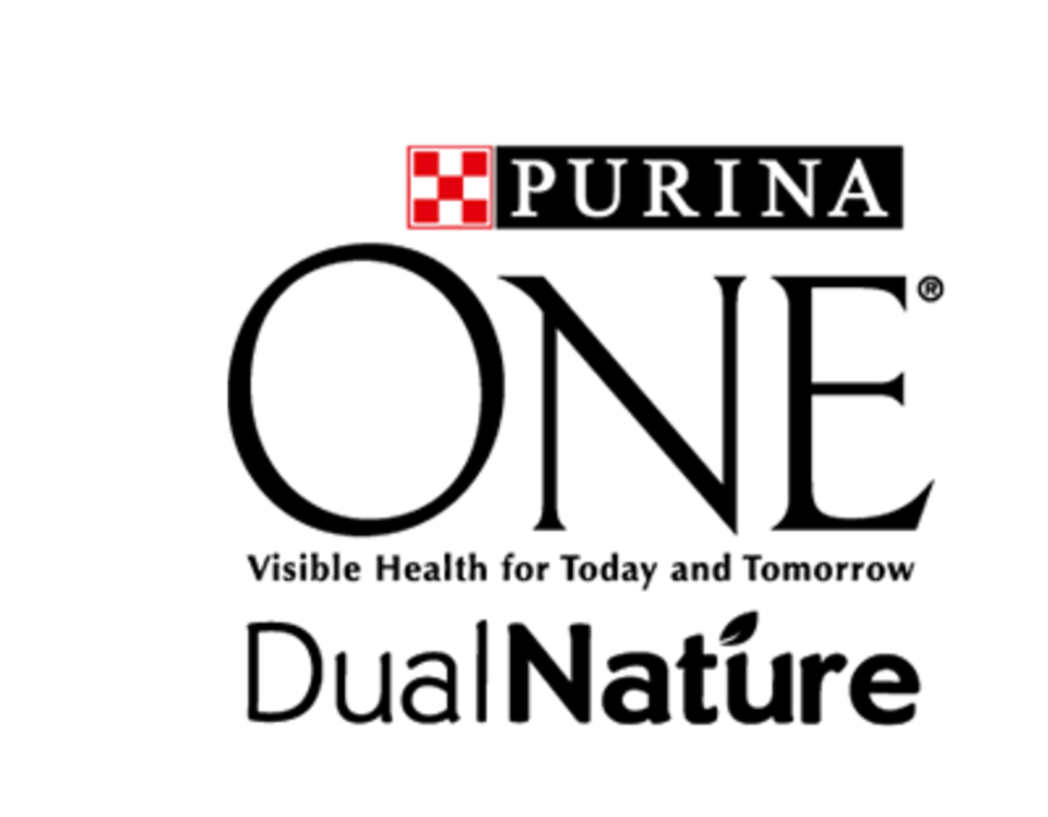 Gewinnspiel: Jetzt mit Purina ONE ein Produktpaket für Katzen gewinnen Gewinnspiel: Jetzt mit Purina ONE ein Produktpaket für Katzen gewinnen
