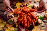 Household tricks: Lobster "loading =" lazy