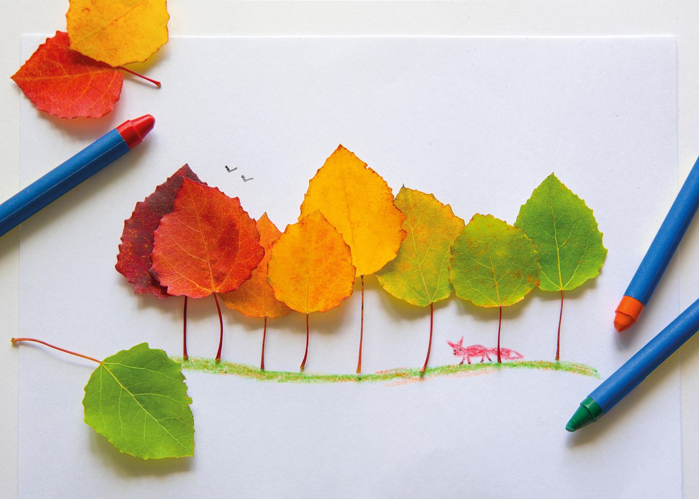 Herbstbasteln mit Kindern: Bild aus Blättern