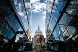 Haustier Fotowettbewerb: Hund zwischen Wolkenkratzern
