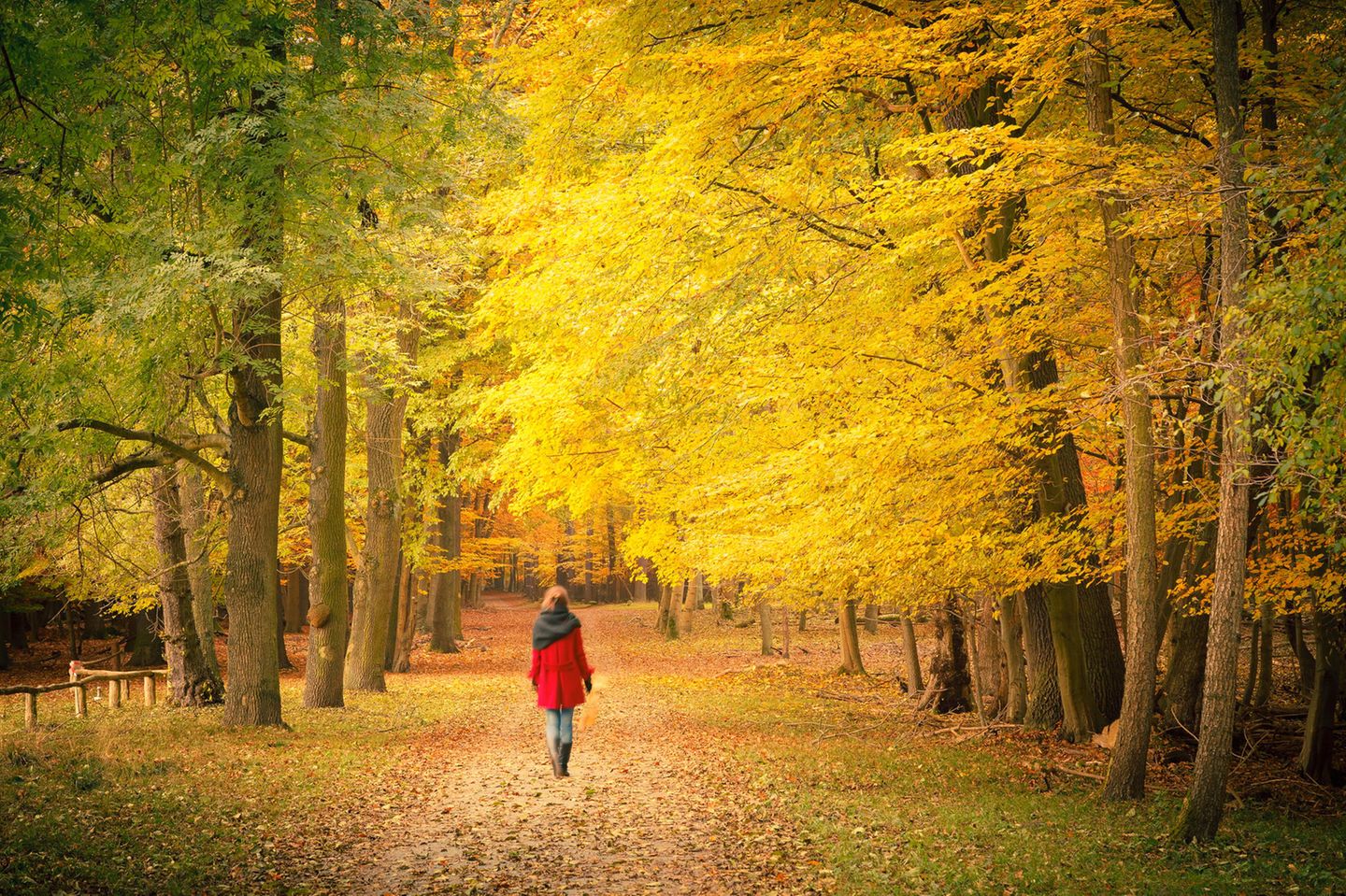 Eine Frau beim Herbstspaziergang