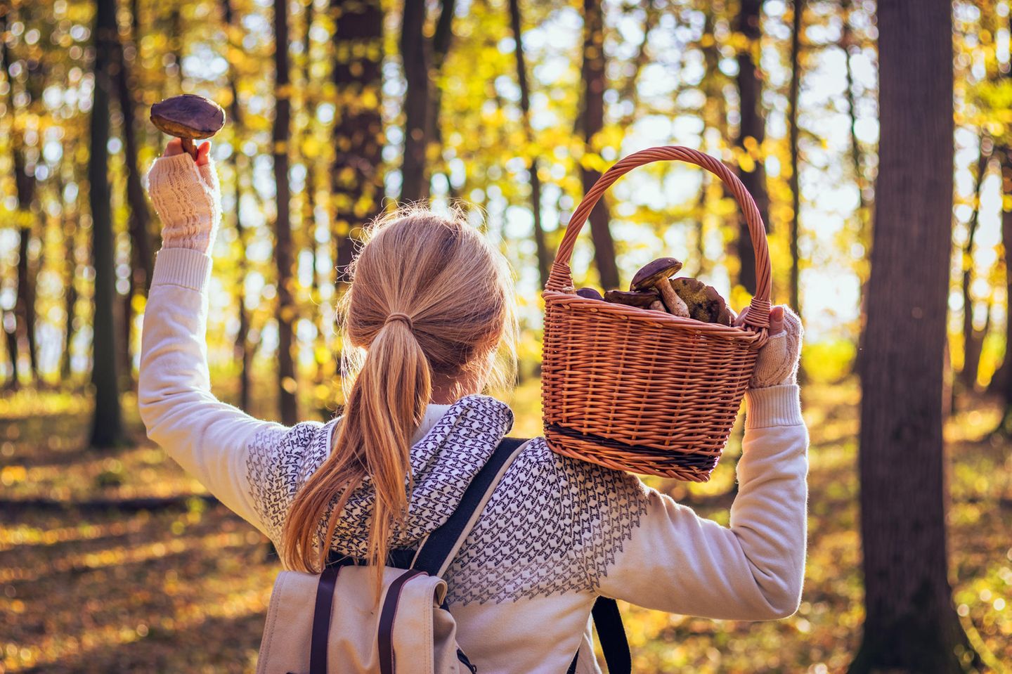 Eine Frau im Herbst beim Pilze sammeln