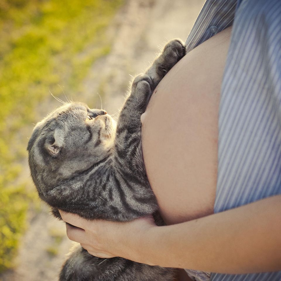Frau wird durch Katze schwanger