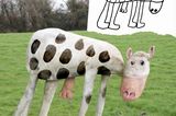Kinderzeichnungen in der Realität: eine Kuh