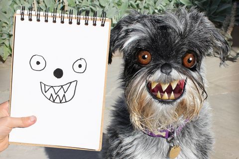 Kinderzeichnungen in der Realität: ein Hund mit Zähnen