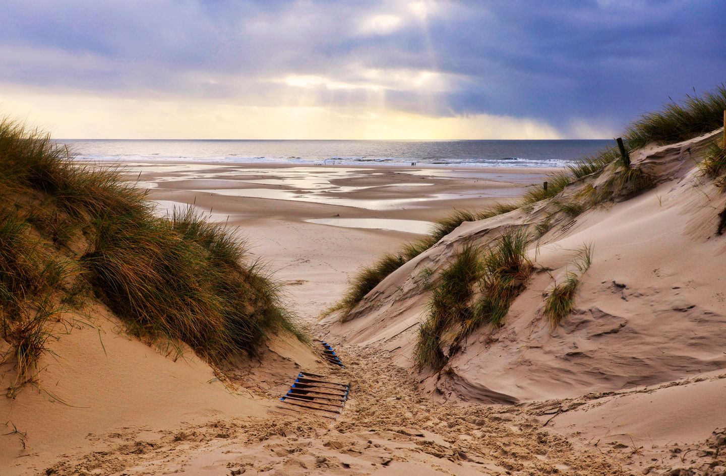 Naturwunder Deutschlands: Amrum