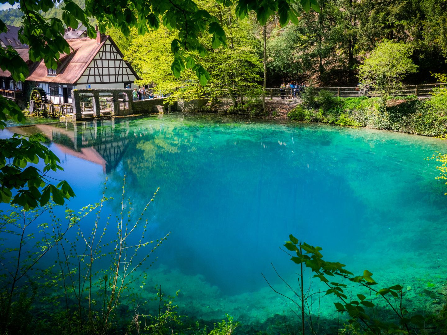 Naturwunder Deutschlands: blauer See