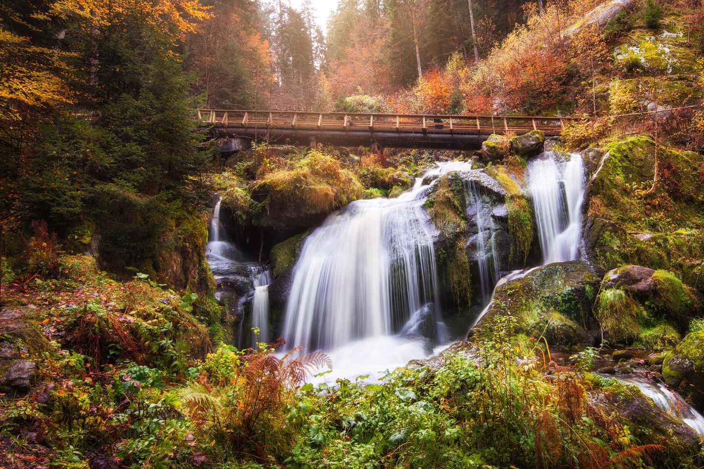 Naturwunder Deutschlands: Wasserfälle