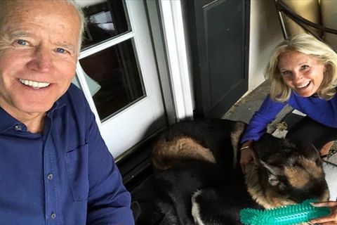 Joe Biden: Erster Tierheim-Hund zieht ins Weiße Haus