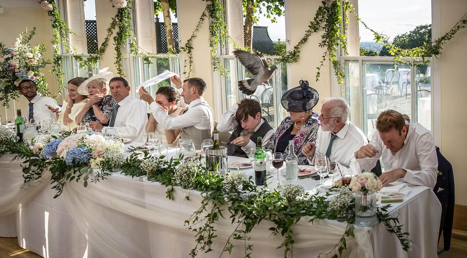 Die schönsten Hochzeitsbilder des Jahres: Hochzeitsgäste am Tisch