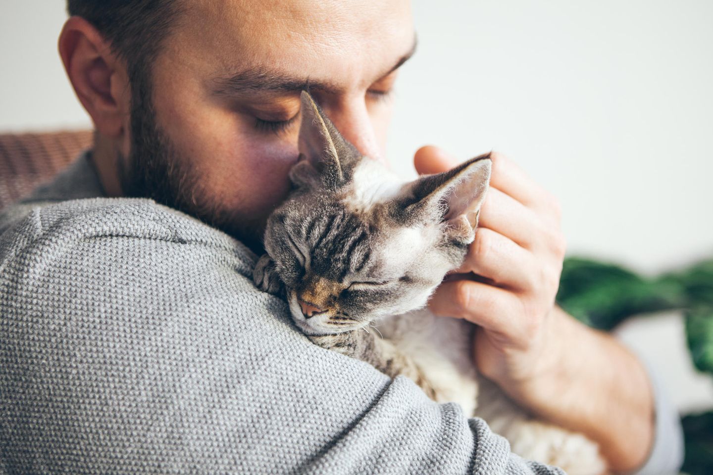 Männer erzählen: Mann mit Katze auf dem Arm