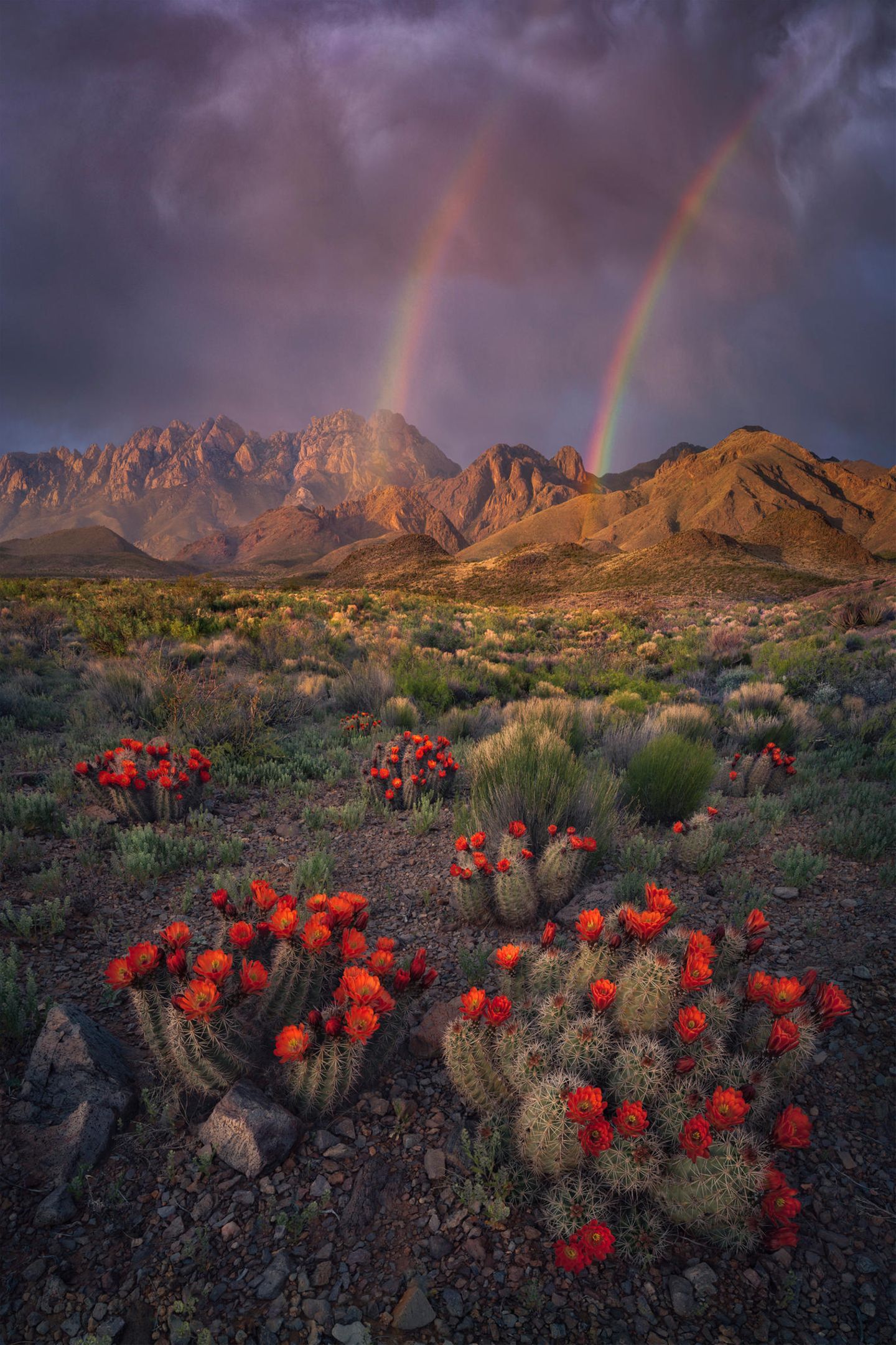 ILPOTY 2020: Berge mit Regenbogen