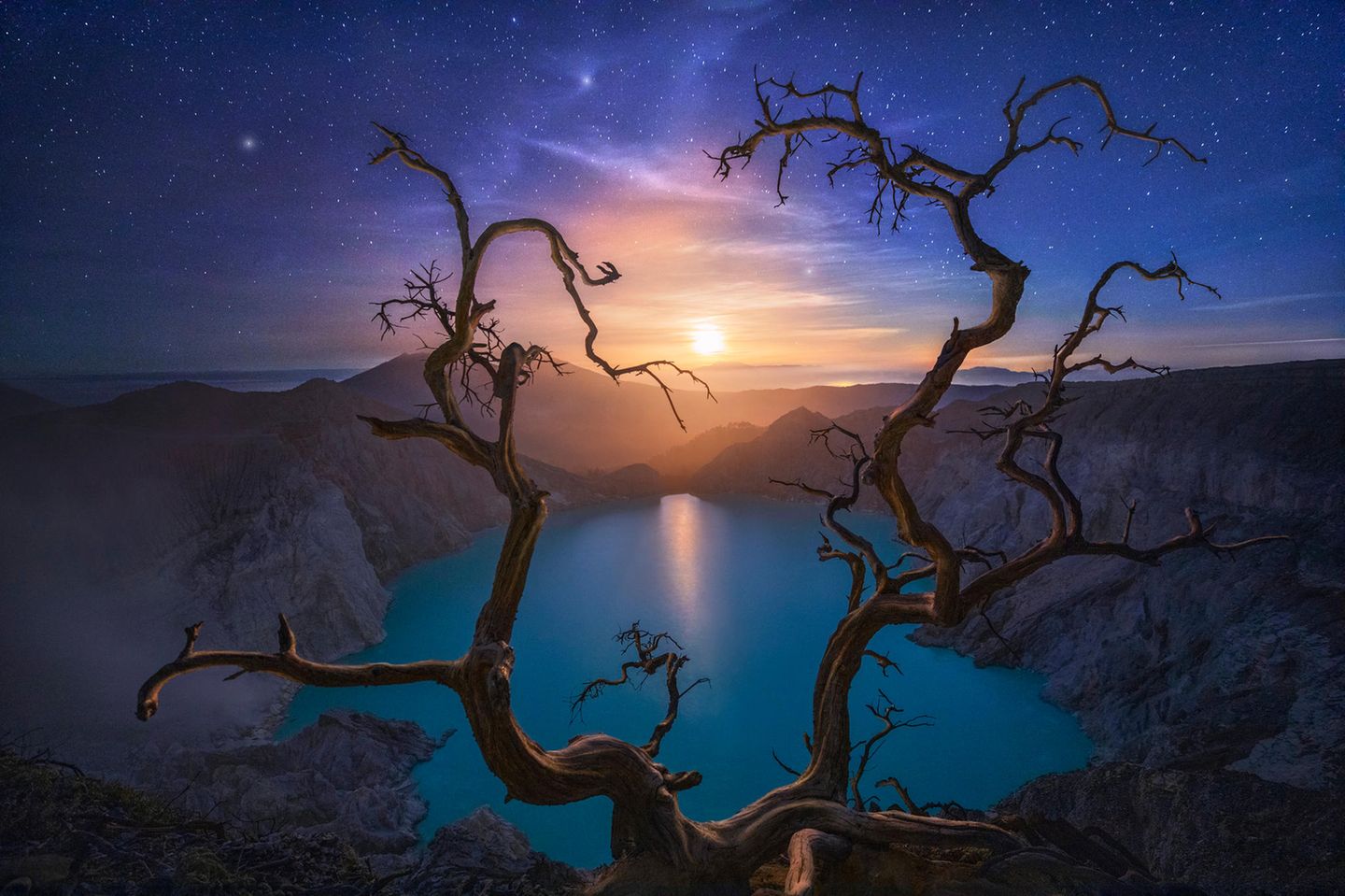 ILPOTY 2020: Mond und Baum