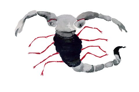Jahreshoroskop Skorpion: Skorpion
