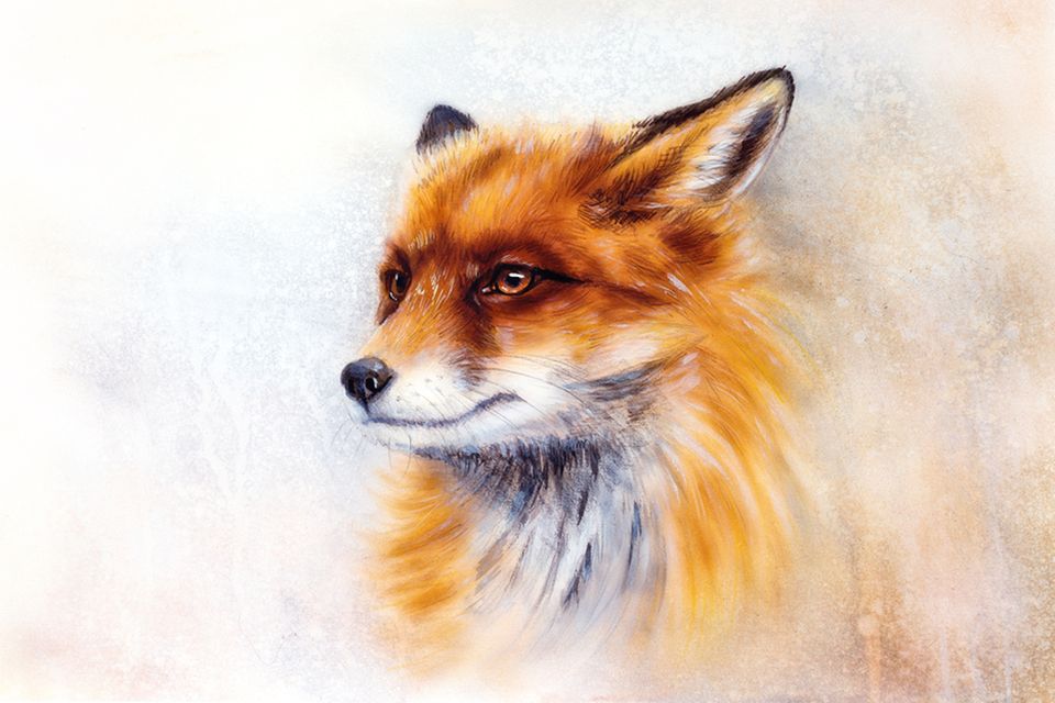 2023 Power animal fox meaning, message and dream interpretation