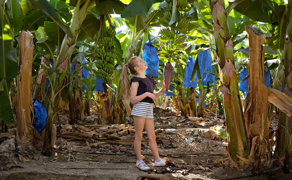 Zypern: Mädchen steht mitten in Bananenplantage