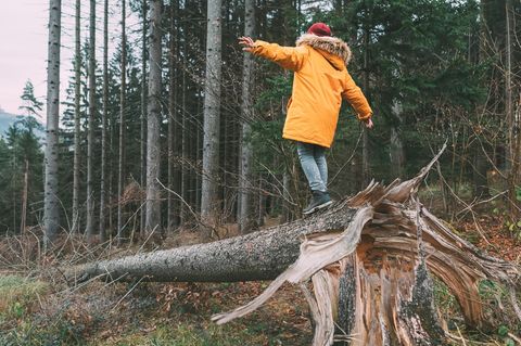 Celle: Ein kleiner Junge balanciert über einen Baumstamm