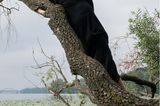 Endometriose in Bildern: Frau auf Baum