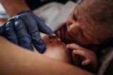Geburtsfotos: Neugeborenes an Brustwarze
