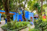 Die Künstlerin Frida Kahlo (1907–1954) ist zur Ikone der Popkultur avanciert. Doch wo kommt sie eigentlich her? Fans pilgern in das Casa Azul nach Mexiko Stadt. In dem wunderschönen blauen Haus wurde sie geboren und dort starb sie auch. Fast ihr ganzes Leben verbrachte sie hinter den blauen Mauern, zeitweise mit ihrem Mann, dem Muralisten Diego Rivera. Das Haus ist heute ein Museum und die umfassendste Hommage an Frida Kahlos Werk, das von großem Schmerz geprägt ist. An Bedeutung übertrifft sie längst ihren berühmten Mann: Eines ihrer Selbstporträts war das erste mexikanische Kunstwerk, das der Louvre in Paris erwarb.