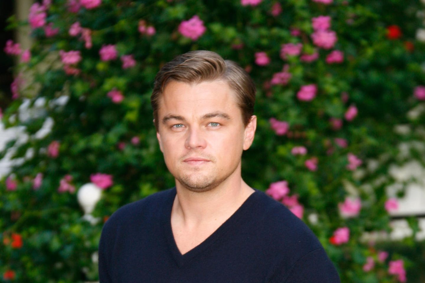 Leonardo DiCaprio: Leonardo DiCaprio