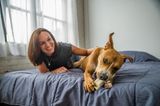 Bester Freund der Frau: Frau mt Hund auf Bett