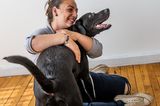 Bester Freunde der Frau: Frau umarmt Hund