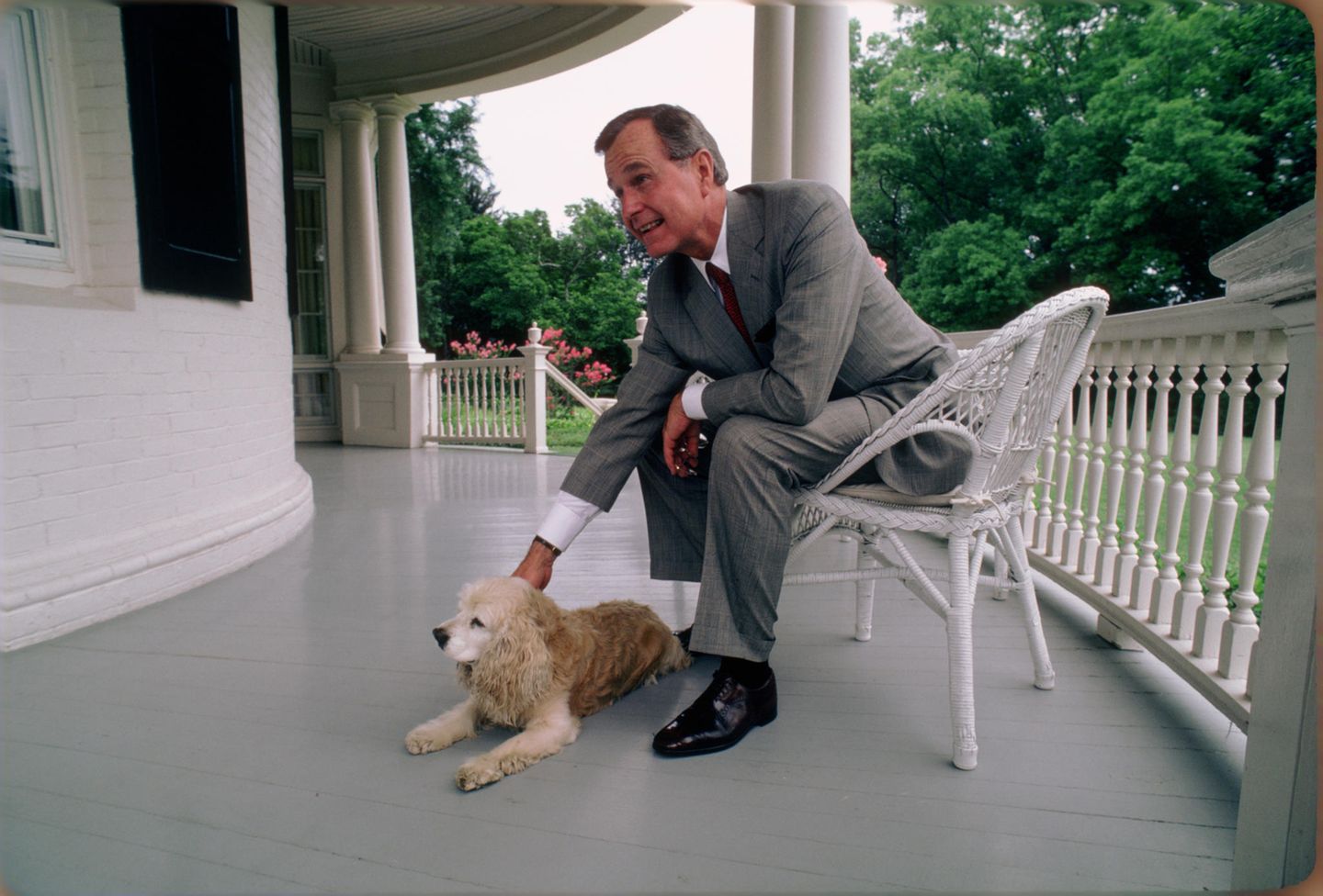 Haustiere: George H.W.Bush mit Spaniel