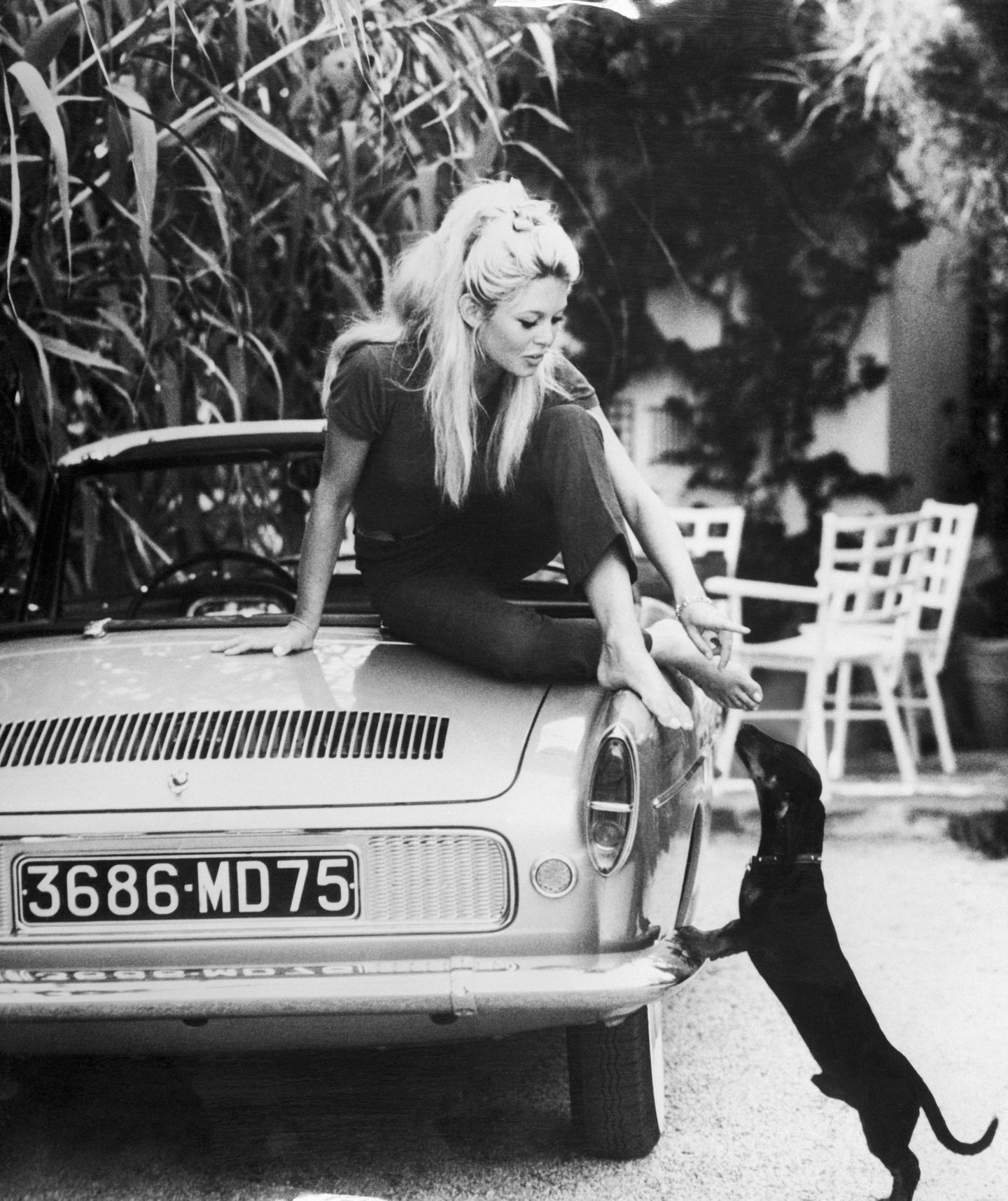Haustiere: Brigitte Bardot mit Dackel