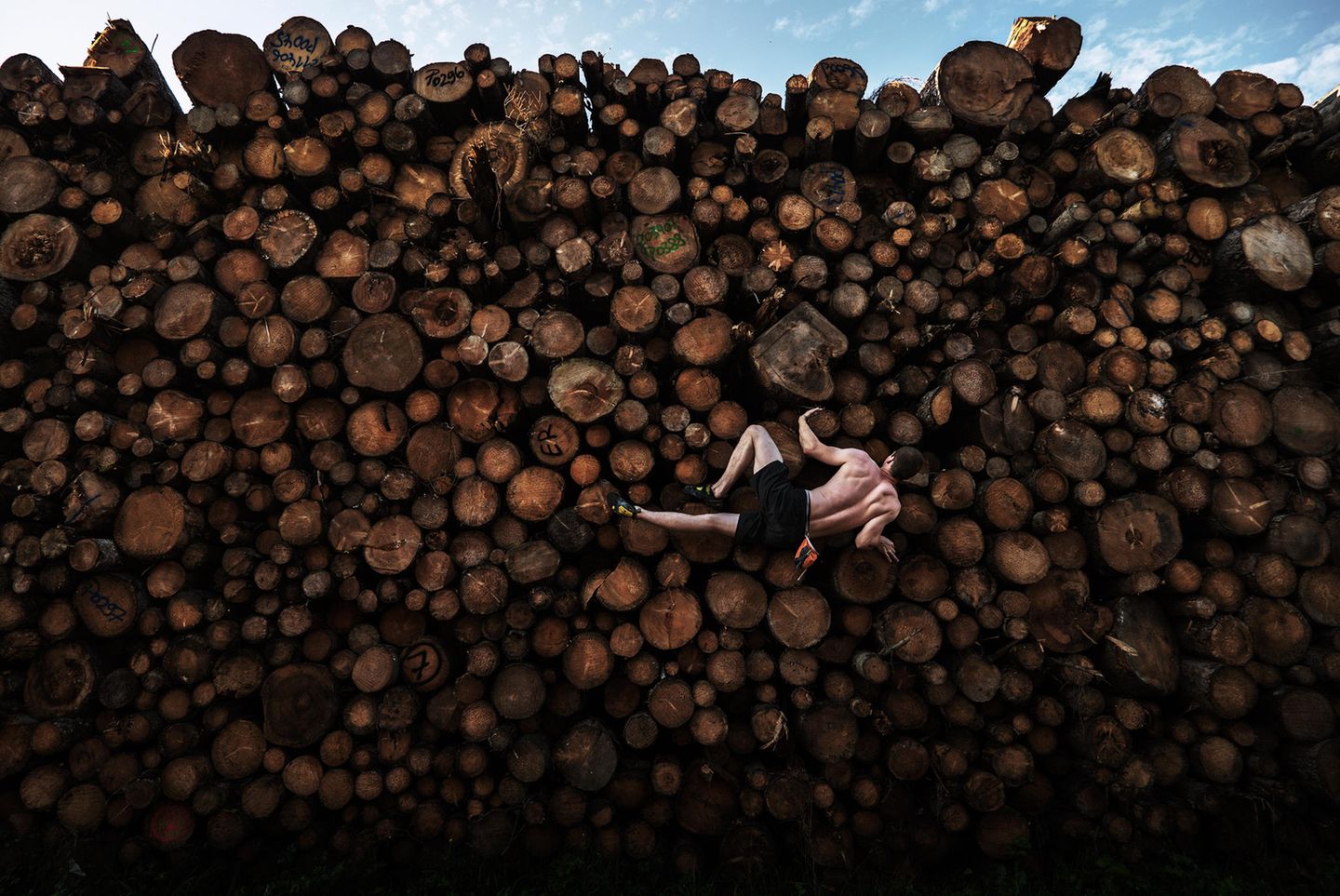 World Press Photo 2021: Mann klettert an Holzstämmen