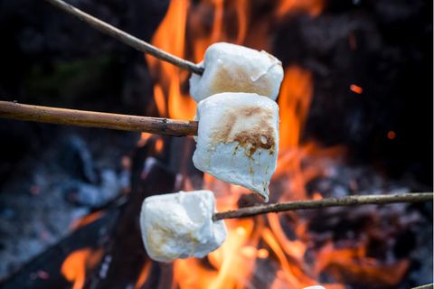 Marshmallows grillen: Marshmallows über dem Lagerfeuer