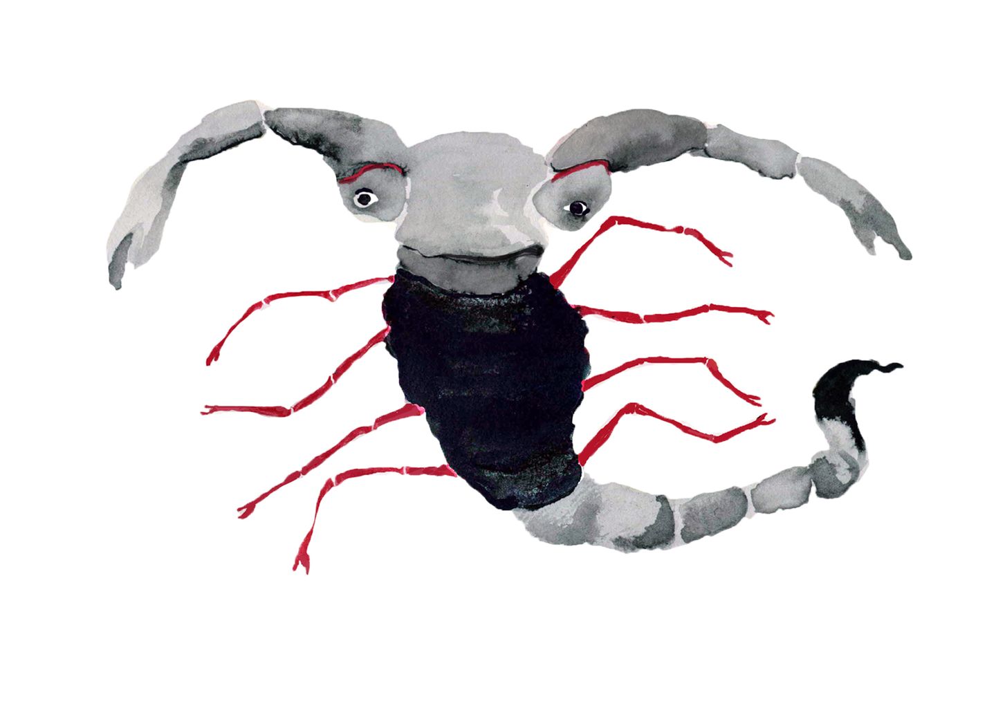 Illustration Sternzeichen Skorpion