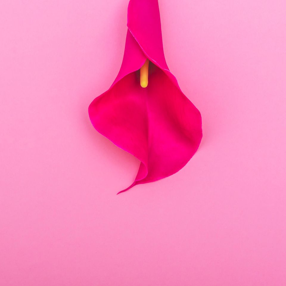 Vaginalverjüngung: Rosa Blume