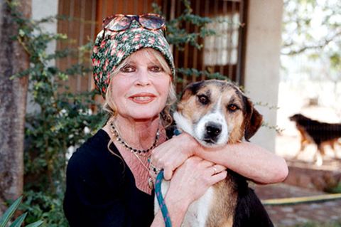 Brigitte Bardot: Die ewige Verführerin