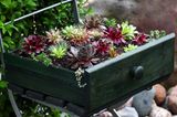 Upcycling Ideen Garten: Pflanzkübel aus alter Kommode