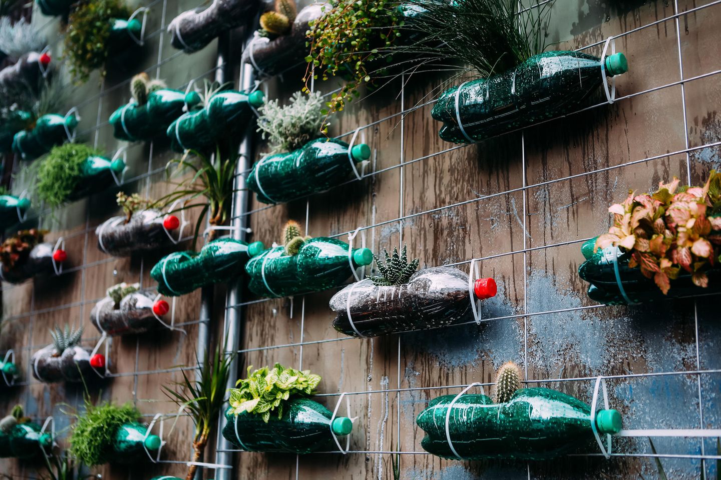 Upcycling Ideen Garten: Flaschengarten