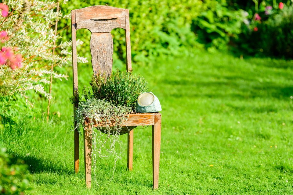 Upcycling Ideen Garten: Stuhl als Blumenkübel