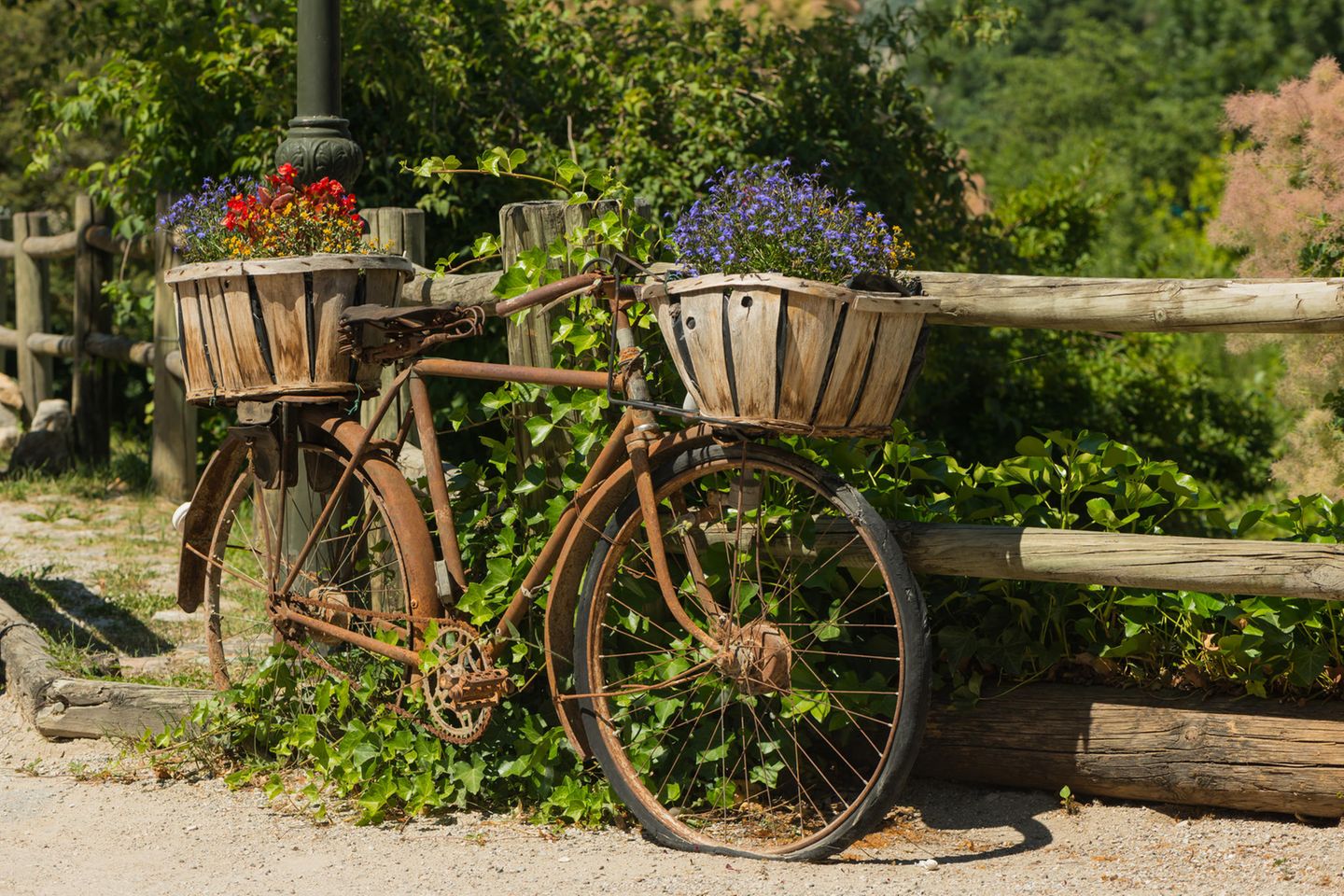 Upcycling Ideen Garten: Fahrrad mit Blumenkörbchen