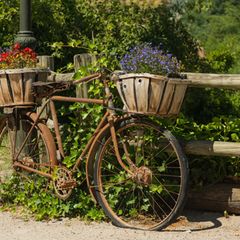 Upcycling Ideen Garten: Fahrrad mit Blumenkörbchen