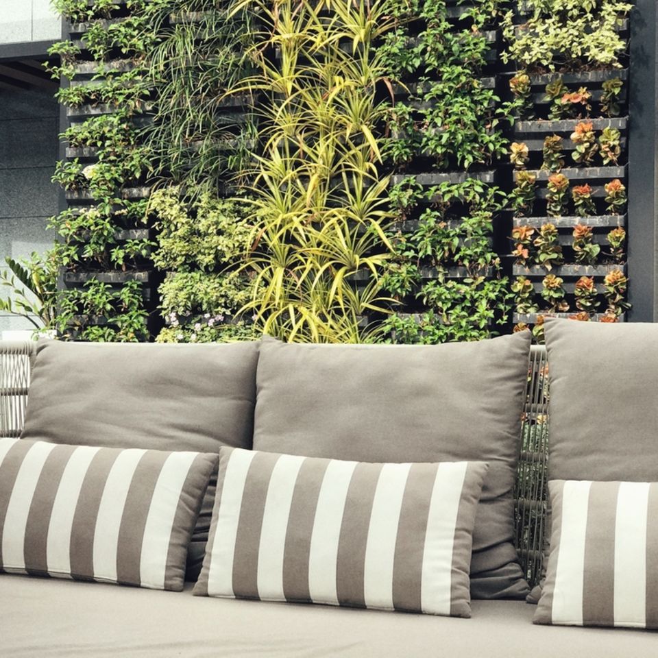 Vertikaler Garten auf dem Balkon: Outdoor-Sofa und Pflanzen