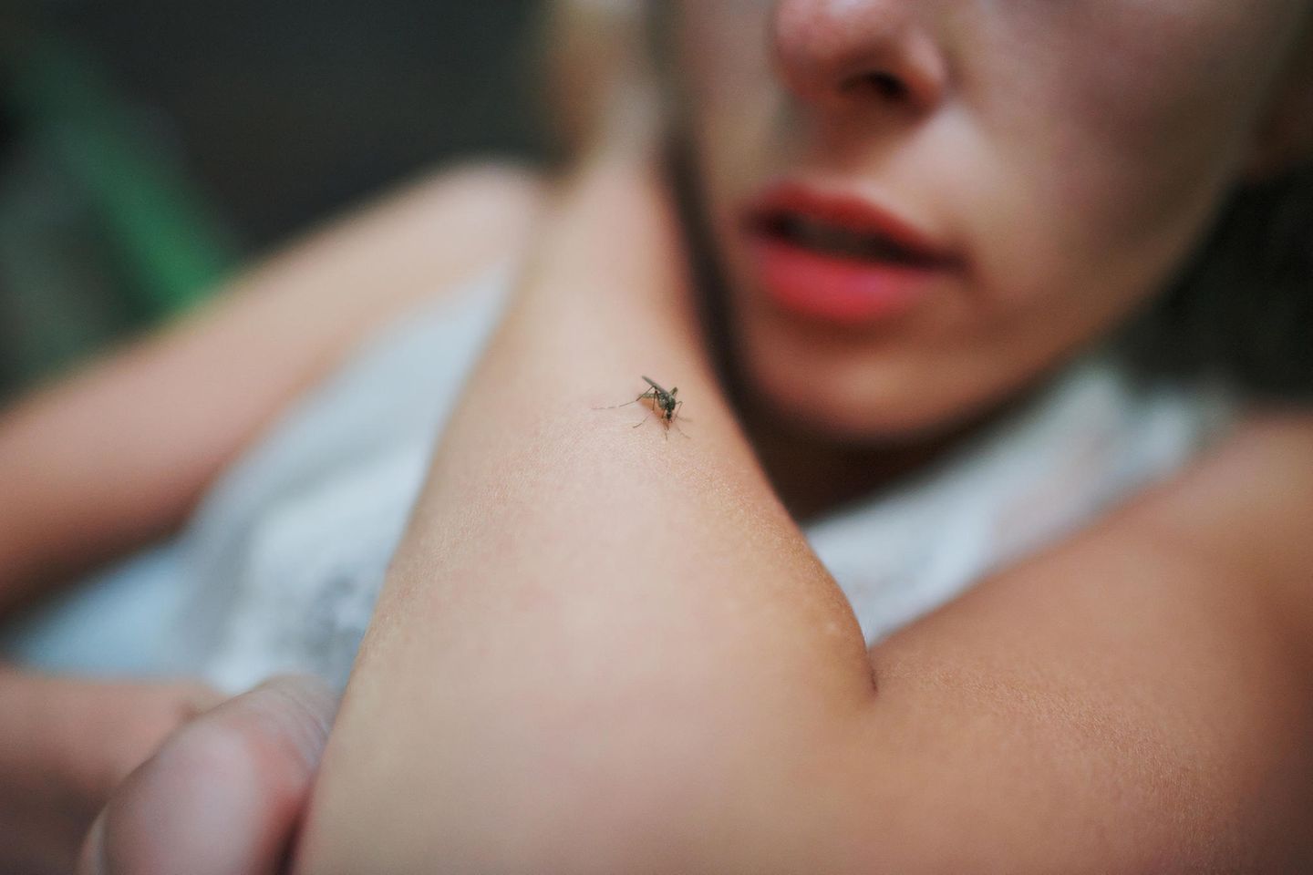Enthüllt: Eine Frau mit einer Mücke auf dem Arm