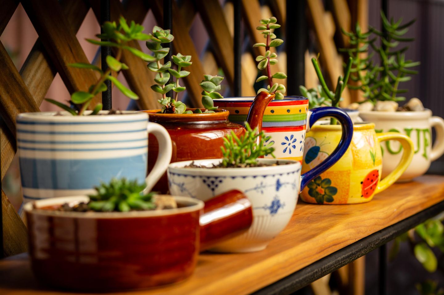 Terrassen-Deko selber machen: Pflanzentöpfe aus alten Tassen