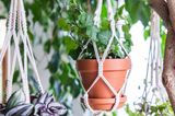 Terrassen-Deko selber machen: Pflanzenampel
