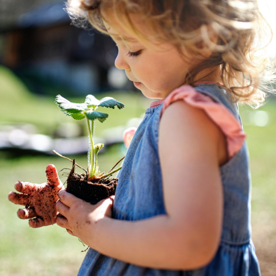 Gärtnern mit Kindern: Mädchen hält Jungpflanze in den Händen