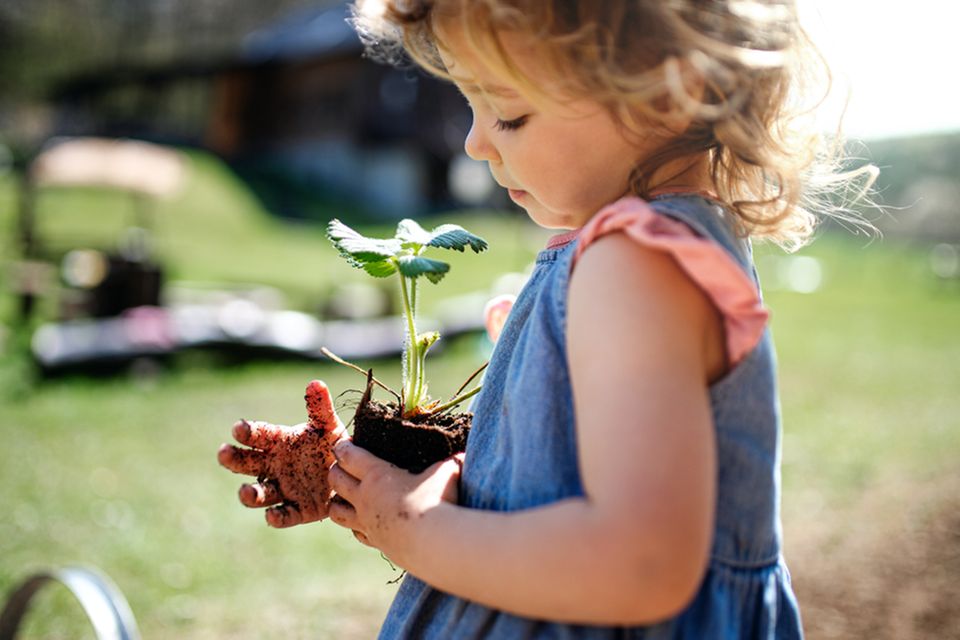 Gärtnern mit Kindern: Mädchen hält Jungpflanze in den Händen